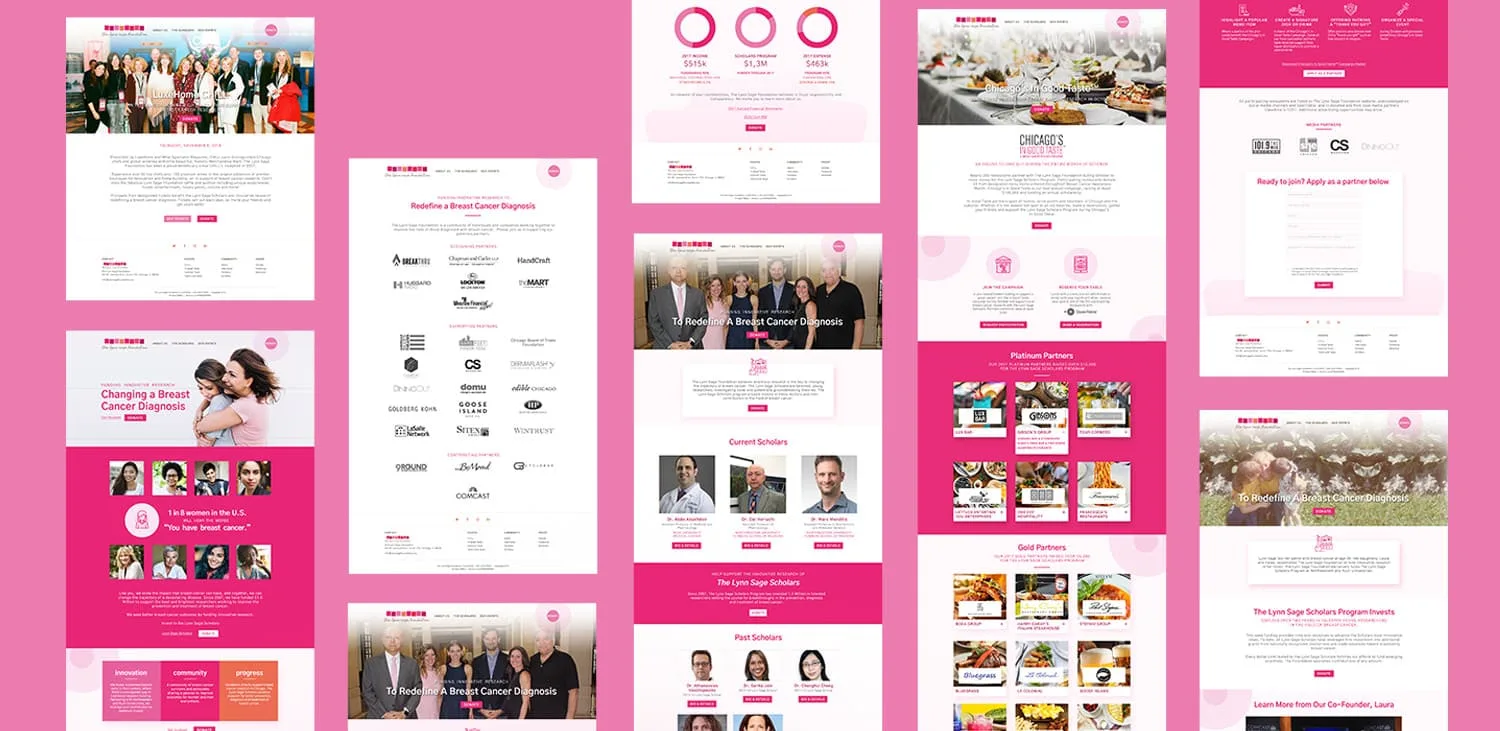 The Lynn Sage Foundation website