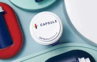 Capsule — work snapshot
